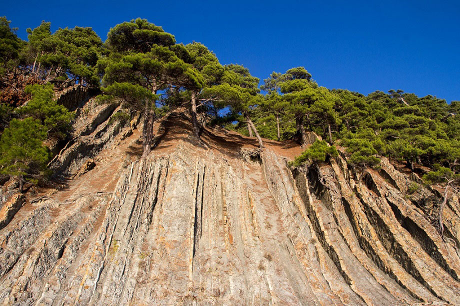 скалы на побережье черного моря