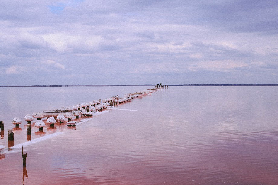 розовое озеро сасык сиваш