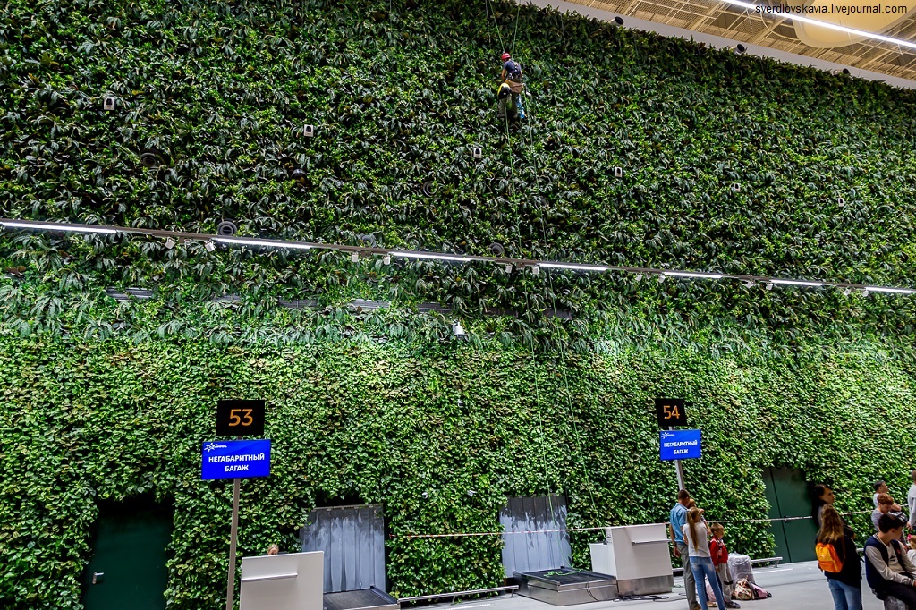 зеленая стена в аэропорту Симферополя