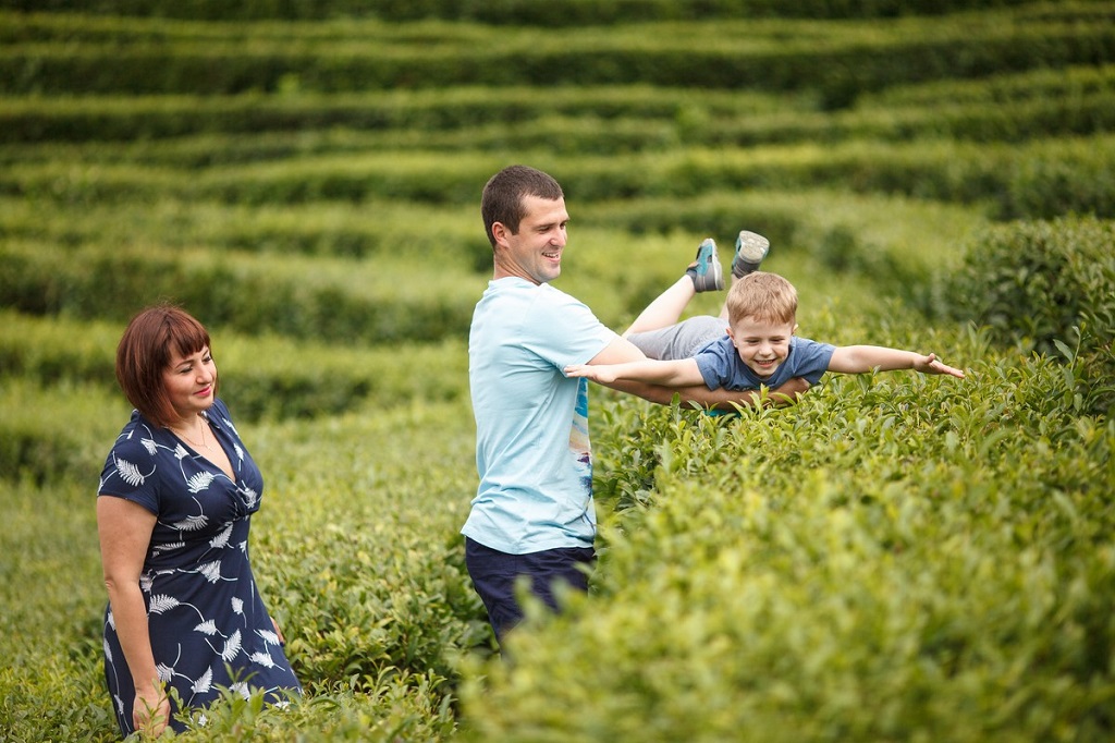 экскурсии на чайные плантации в Мацесте 