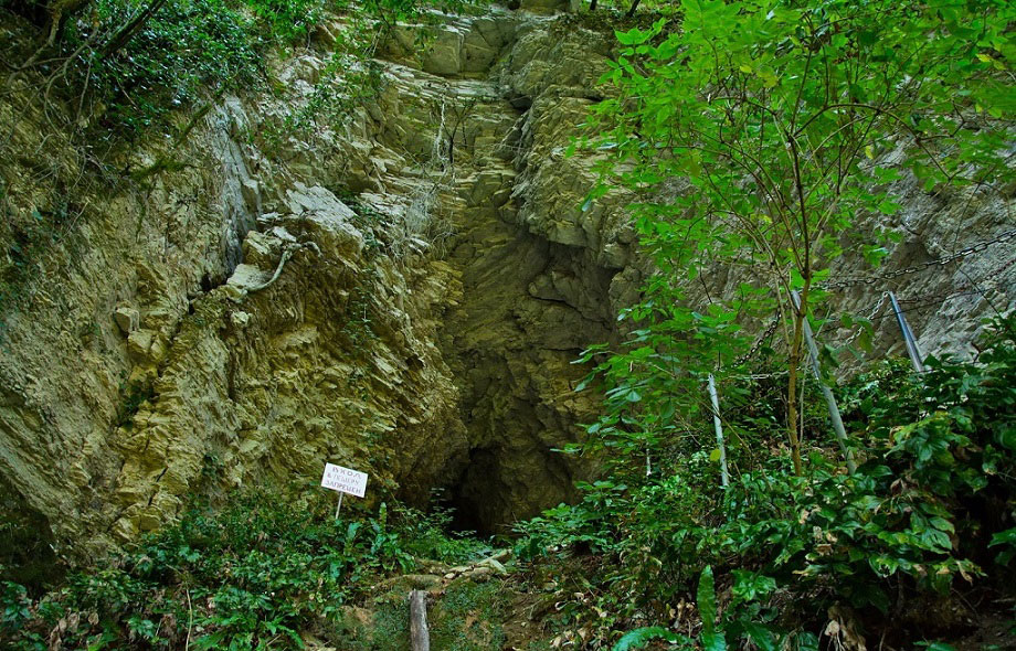 Карстовая пещера тисо самшитовая роща